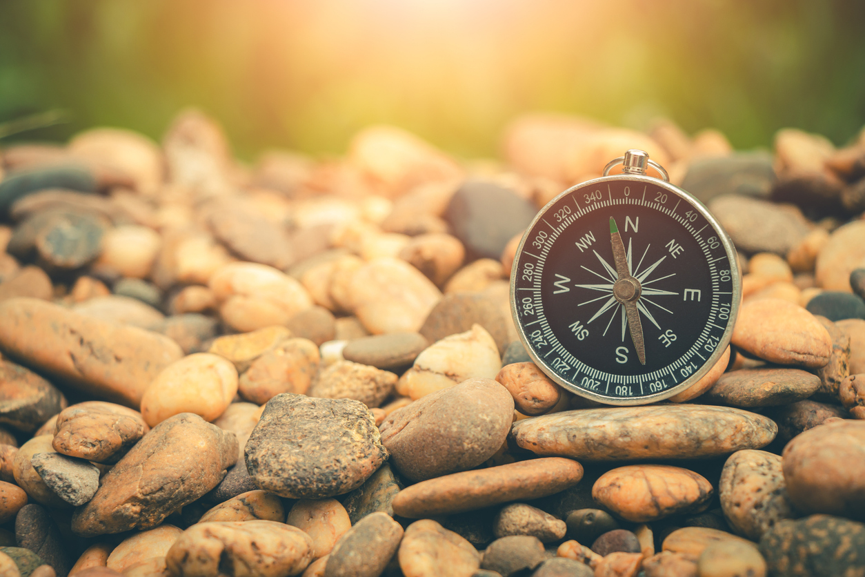 Compass or path icon